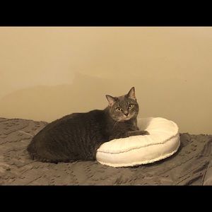 Meet your Posher, Hollace